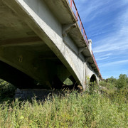 IMG-1447