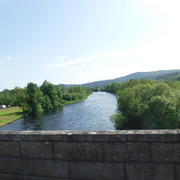 DSCF7955