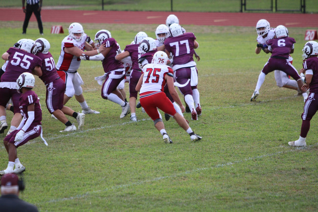 IMG-2377.jpg