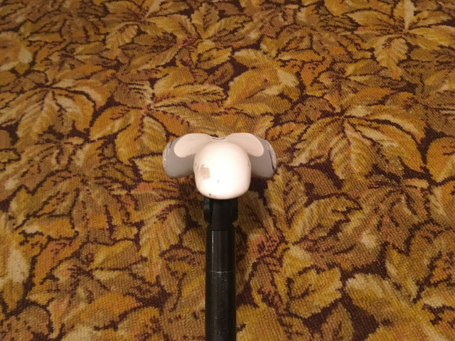 IMG 1310