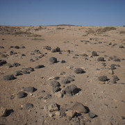 DSC00998