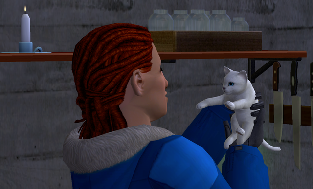wk-Justice-Snuggling-Cat-3