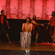 IMG 0333