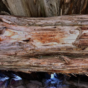IMG-5924