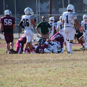 IMG-4852