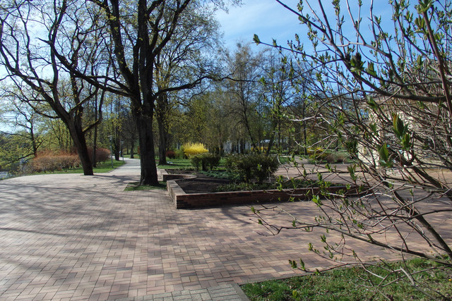 P5041522.jpg