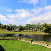 IMG-1419