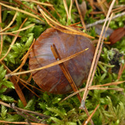 P1130683