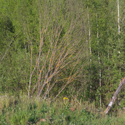 DSC3510