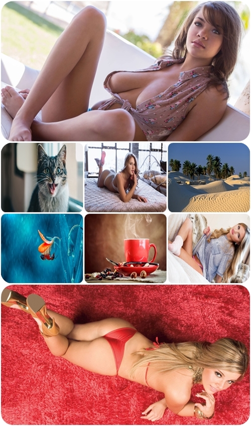Beautiful widescreen wallpapers 872