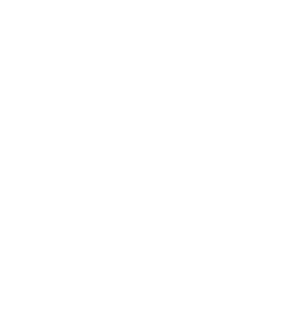 CFX Logo