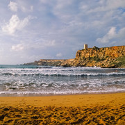 OLYMPUS-DIGITAL-CAMERA
