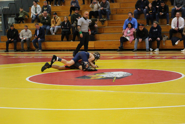 IMG-0019
