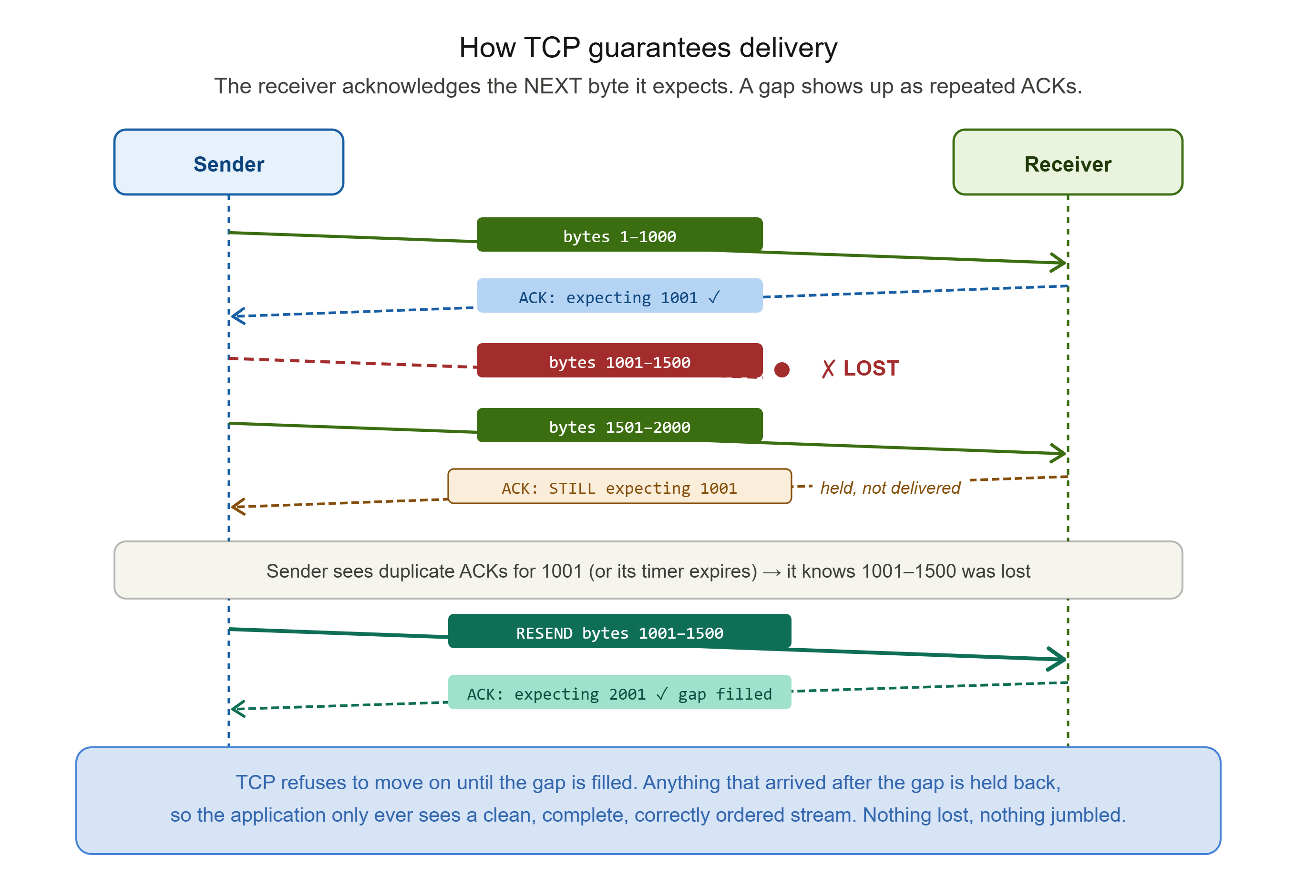 alt TCP Reliability in Action: Loss and Retransmission