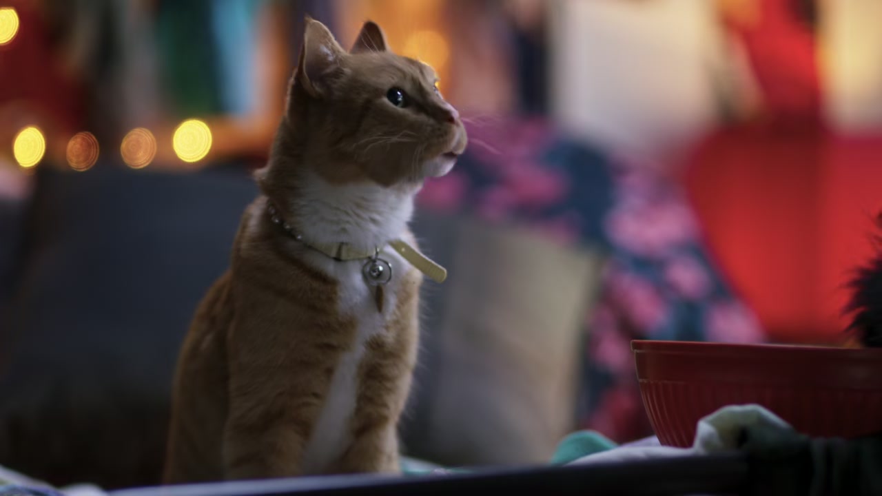 Cats & Dogs 3: Paws Unite Screenshot