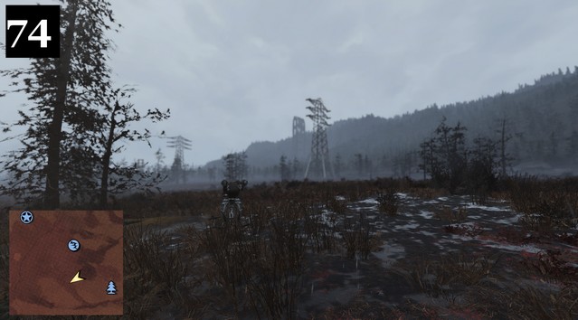 74.jpg