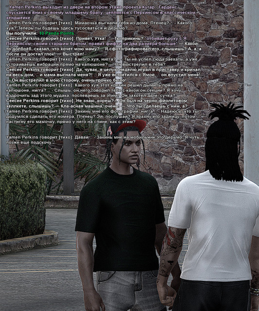 palmes.jpg