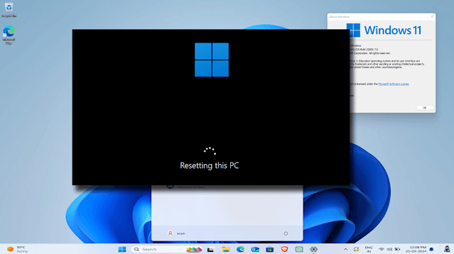 Windows 11 reset not working