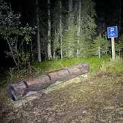 IMG 5648