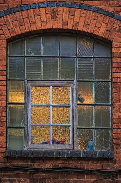 IMGP1927.jpg