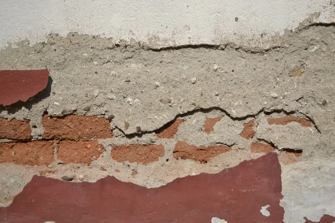 Problemele de renovare: cum să rezolvați problemele cu contractantul