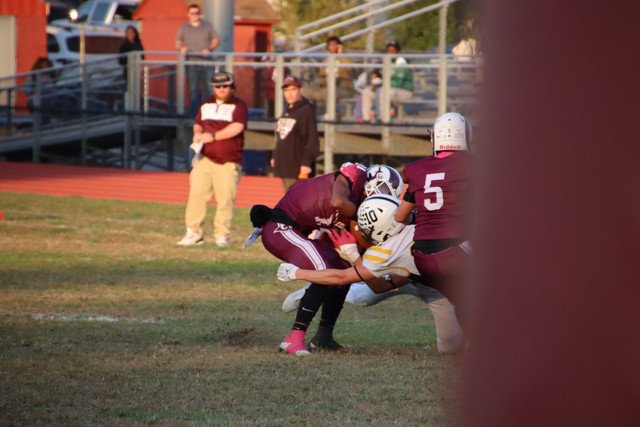 IMG-1560.jpg
