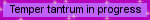 IMG 3558.gif