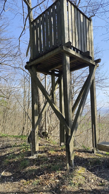 IMG-2502