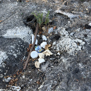 IMG 7150