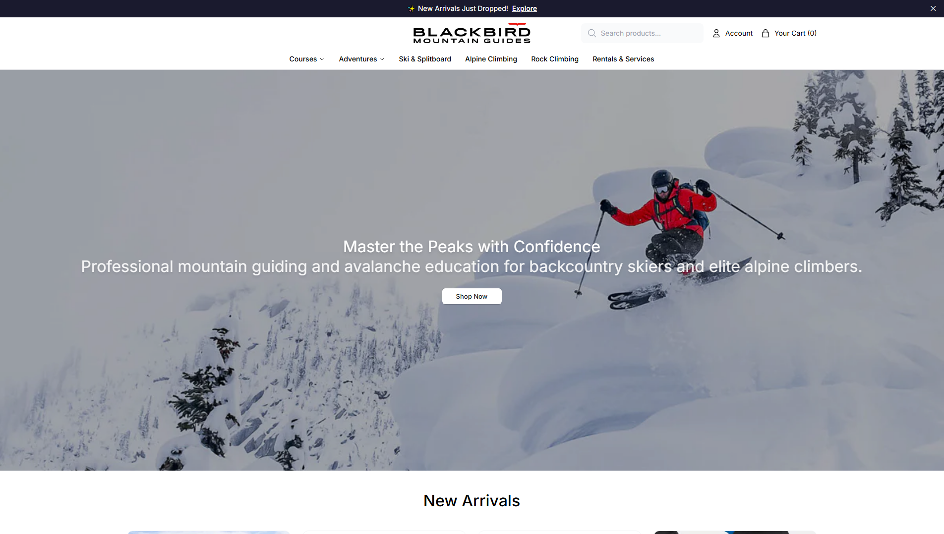Stored capture of blackbirdguides.shop