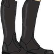 s1 1
