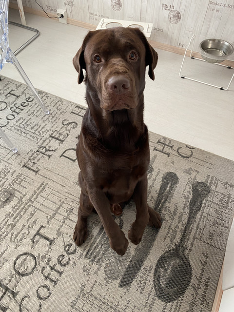 FED9-C1-E9-61-DF-41-E9-9-A98-E2-EDA86-CE