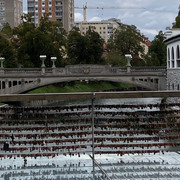 IMG-2709