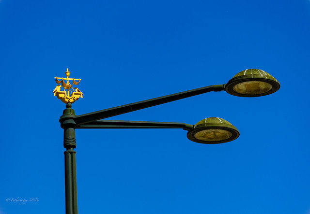 DSF5478.jpg