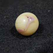 DSCN5620