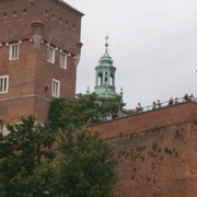 OLYMPUS-DIGITAL-CAMERA