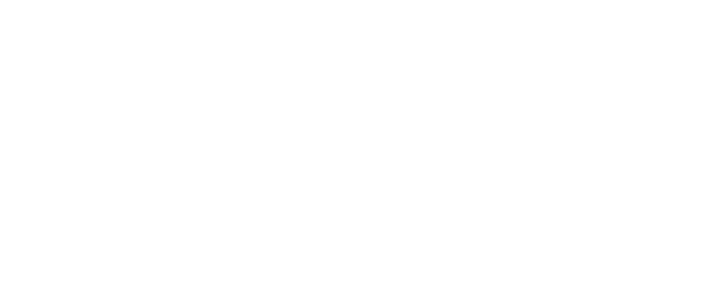 LALIZAS