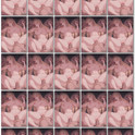 Elinalise-mp4-thumbs