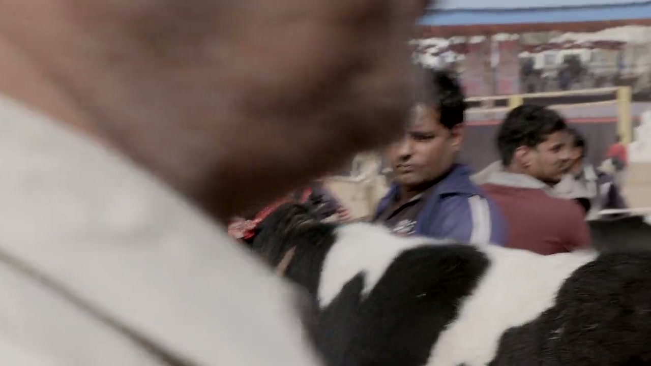 Pushkar Puran Screenshot