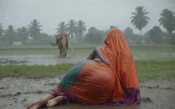 [Image: Picture43.gif]