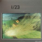 IMG-1211