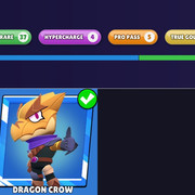 Pro Pass