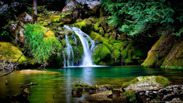 wp4092986-amazon-river-wallpapers