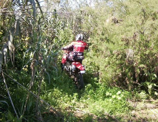 Foto2243 LI