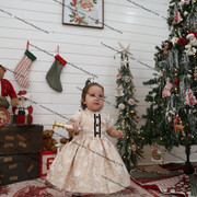 IMG 4152