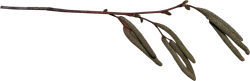 n3Vahlt