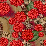 62