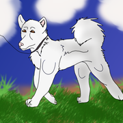 agility-title