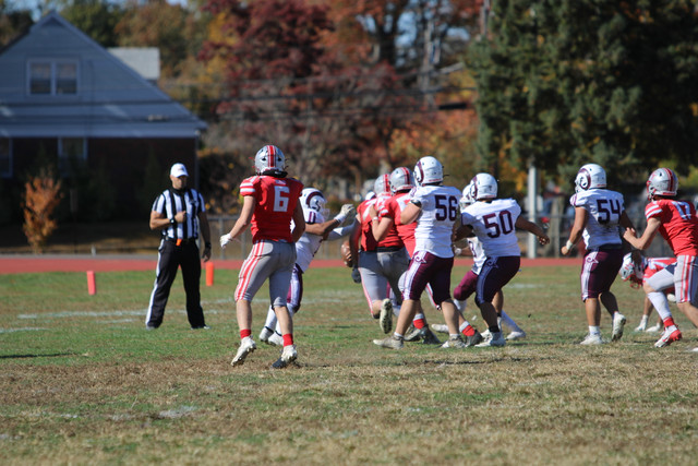 IMG-1733.jpg
