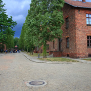 IMG-5845